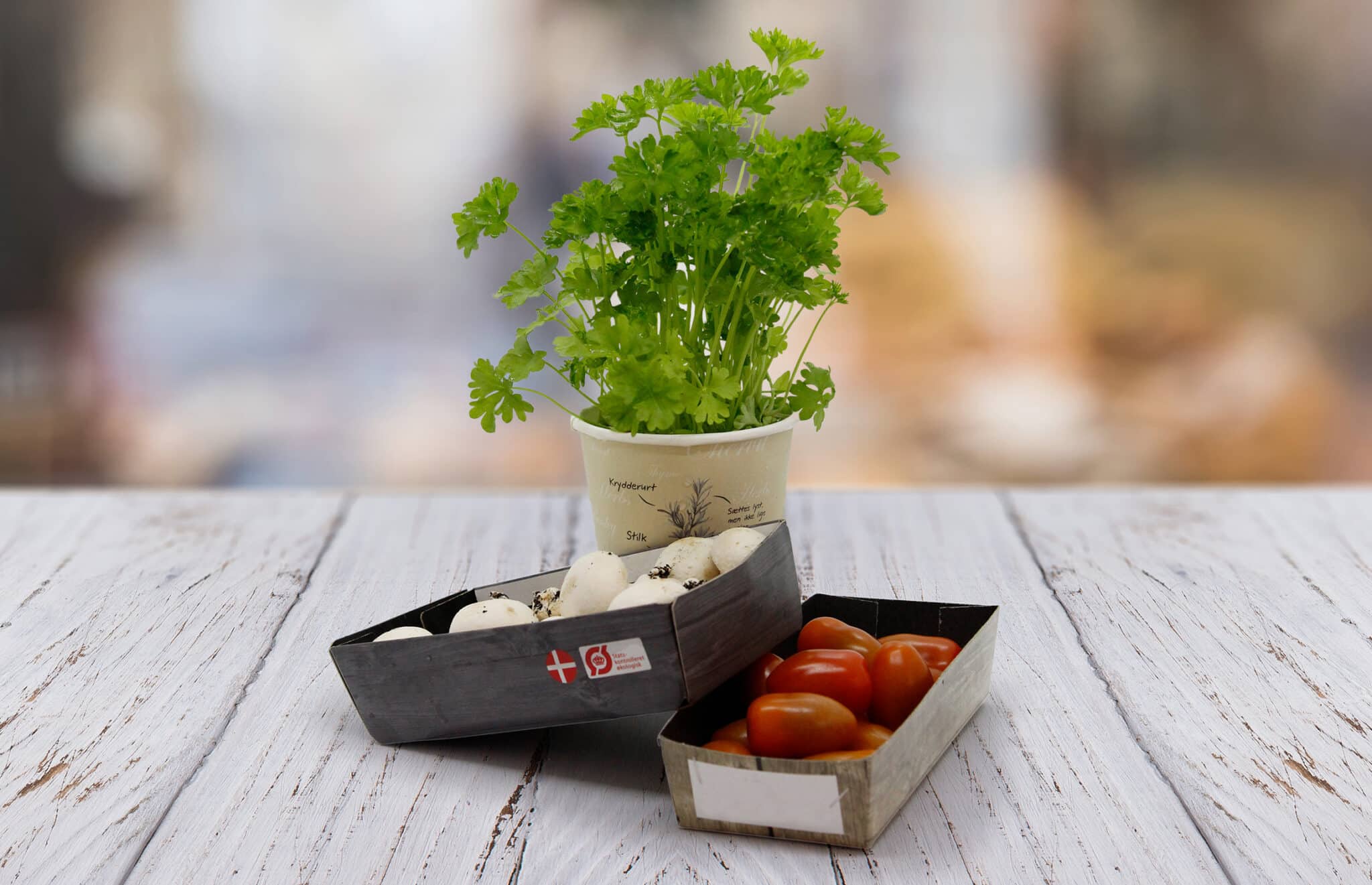 Direct food contact Resino